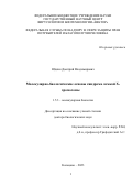 Юдкин Дмитрий Владимирович. Молекулярно-биологические основы синдрома ломкой Х-хромосомы: дис. доктор наук: 00.00.00 - Другие cпециальности. ФБУН «Государственный научный центр вирусологии и биотехнологии «Вектор» Федеральной службы по надзору в сфере защиты прав потребителей и благополучия человека. 2023. 249 с.