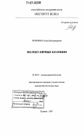 Четверина, Елена Владимировна. Молекулярные колонии: дис. доктор биологических наук: 03.00.03 - Молекулярная биология. Пущино. 2007. 329 с.