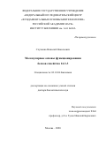 Случанко Николай Николаевич. Молекулярные основы функционирования белков семейства 14-3-3: дис. доктор наук: 03.01.04 - Биохимия. ФГУ «Федеральный исследовательский центр «Фундаментальные основы биотехнологии» Российской академии наук». 2021. 336 с.