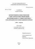 Сальников, Андрей Анатольевич. Морфофункиональные изменения слизистой оболочки тонкой кишки при дренировании в условиях перитонита и их коррекция в послеоперационном периоде: дис. кандидат медицинских наук: 14.00.27 - Хирургия. Москва. 2005. 130 с.