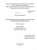 Михеева, Эльза Равилевна. Морфофункциональная и биохимическая альтерация клеток крови квантовыми точками: дис. кандидат биологических наук: 03.03.01 - Физиология. Нижний Новгород. 2011. 110 с.