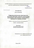 Тихомирова, Ольга Алексеевна. Морфофункциональная характеристика белкосинтезирующих структур и митохондрий всасывающих эпителиоцитов тонкой кишки в зависимости от рациона питания: дис. кандидат биологических наук: 03.00.25 - Гистология, цитология, клеточная биология. Саранск. 2007. 194 с.