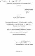 Момот, Юлия Александровна. Морфофункциональная характеристика больших слюнных желез дикого кабана уссурийского подвида в онтогенезе: дис. кандидат биологических наук: 16.00.02 - Патология, онкология и морфология животных. Уссурийск. 2003. 124 с.