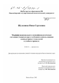 Шуленина, Нина Сергеевна. Морфофункциональное и психофизиологическое состояние учащихся при углубленном использовании компьютерных технологий в учебном процессе: дис. кандидат биологических наук: 03.00.13 - Физиология. Новосибирск. 2002. 165 с.