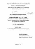 Володина, Виктория Викторовна. Морфофункциональное состояние органов и тканей каспийского тюленя (Phoca caspica, gmelin, 1788) в современных экологических условиях: дис. кандидат наук: 03.02.08 - Экология (по отраслям). Астрахань. 2014. 205 с.