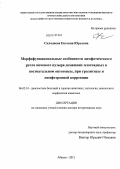 Складнева, Евгения Юрьевна. Морфофункциональные особенности лимфатического русла мочевого пузыря домашних плотоядных в постнатальном онтогенезе, при уролитиазе и лимфотропной коррекции: дис. доктор ветеринарных наук: 06.02.01 - Разведение, селекция, генетика и воспроизводство сельскохозяйственных животных. Абакан. 2012. 370 с.