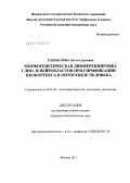 Годовалова, Ольга Сергеевна. Морфогенетическая дифференцировка глио- и нейробластов при гирификации неокортекса в онтогенезе человека: дис. кандидат биологических наук: 03.03.04 - Клеточная биология, цитология, гистология. Москва. 2012. 207 с.