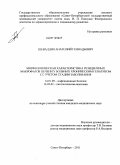 Шевалдин, Анатолий Геннадьевич. Морфологическая характеристика резидентных макрофагов печени у больных хроническим гепатитом С с учетом стадии заболевания: дис. кандидат медицинских наук: 14.01.09 - Инфекционные болезни. Санкт-Петербург. 2011. 150 с.