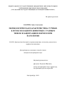 Лазарева Анна Алексеевна. Морфологическая характеристика тучных клеток в плаценте животных с разным типом плацентации в норме и при патологии: дис. кандидат наук: 06.02.01 - Разведение, селекция, генетика и воспроизводство сельскохозяйственных животных. ФГБОУ ВО «Омский государственный аграрный университет имени П.А. Столыпина». 2019. 123 с.