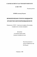 Князев, Александр Петрович. Морфологическая структура ландшафтов юго-востока Калачской возвышенности: дис. кандидат географических наук: 25.00.23 - Физическая география и биогеография, география почв и геохимия ландшафтов. Ставрополь. 2006. 196 с.