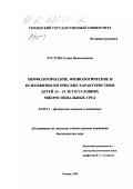 Кустова, Елена Вячеславовна. Морфологические, физиологические и психофизиологические характеристики детей 13-14 лет в условиях микросоциальных сред: дис. кандидат биологических наук: 03.00.13 - Физиология. Тюмень. 1999. 116 с.