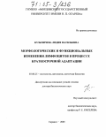 Кузьмичева, Лидия Васильевна. Морфологические и функциональные изменения лимфоцитов в процессе краткосрочной адаптации: дис. доктор биологических наук: 03.00.25 - Гистология, цитология, клеточная биология. Саранск. 2005. 278 с.