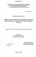 Боброва, Ольга Вячеславовна. Морфологические особенности мезонефроса осетровых в предличиночный, личиночный и мальковый периоды развития: дис. кандидат биологических наук: 03.00.25 - Гистология, цитология, клеточная биология. Астрахань. 2006. 148 с.