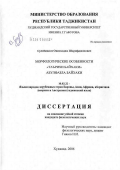 Сулейманов, Окилходжа Шарифджонович. Морфологические особенности "Табрихи Байхаки" Абулфазла Байхаки: дис. кандидат филологических наук: 10.02.22 - Языки народов зарубежных стран Азии, Африки, аборигенов Америки и Австралии. Худжанд. 2006. 170 с.