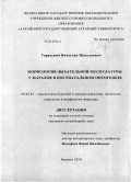 Тарасевич, Вячеслав Николаевич. Морфология дыхательной мускулатуры у маралов в постнатальном онтогенезе: дис. кандидат ветеринарных наук: 06.02.01 - Разведение, селекция, генетика и воспроизводство сельскохозяйственных животных. Барнаул. 2010. 168 с.