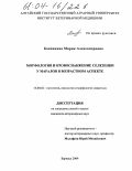 Банникова, Мария Александровна. Морфология и кровоснабжение селезенки у маралов в возрастном аспекте: дис. кандидат ветеринарных наук: 16.00.02 - Патология, онкология и морфология животных. Барнаул. 2004. 148 с.