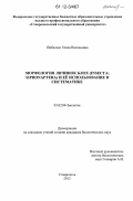 Шабалдас, Елена Васильевна. Морфология личинок блох (Insecta; Siphonaptera) и ее использование в систематике: дис. кандидат биологических наук: 03.02.04 - Зоология. Ставрополь. 2012. 194 с.