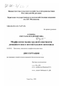 Олзоева, Светлана Владимировна. Морфология мышц грудной конечности домашнего яка в постнатальном онтогенезе: дис. кандидат биологических наук: 16.00.02 - Патология, онкология и морфология животных. Улан-Удэ. 1999. 88 с.