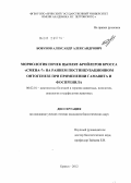 Бобунов, Александр Александрович. Морфология почек цыплят-бройлеров кросса "Смена-7" на раннем постинкубационном онтогенезе при применении гамавита и фоспренила: дис. кандидат биологических наук: 06.02.01 - Разведение, селекция, генетика и воспроизводство сельскохозяйственных животных. Брянск. 2012. 185 с.