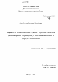 Скоробрехова, Екатерина Михайловна. Морфология взаимоотношений скребня Corynosoma strumosum (Acanthocephales: Polymorphidae) и паратенических хозяев в природе и эксперименте: дис. кандидат наук: 03.02.11 - Паразитология. Магадан. 2014. 305 с.