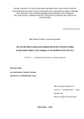 Щетинин Роман Александрович. Мульспиральная компьютерная томография в диагностике рака языка и тканей полости рта: дис. кандидат наук: 14.01.13 - Лучевая диагностика, лучевая терапия. ФГБУ «Российский научный центр рентгенорадиологии» Министерства здравоохранения Российской Федерации. 2018. 171 с.