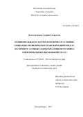 Константинова, Альфия Гумаровна. Муниципальная культурная политика в условиях социально-политических трансформаций 1990-х гг.: на примере атомных закрытых административно-территориальных образований Урала: дис. кандидат наук: 07.00.02 - Отечественная история. Екатеринбург. 2017. 205 с.