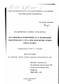 Владимирова, Марина Витальевна. Мутационная изменчивость и проявление генетического груза при выведении новых пород кошек: дис. кандидат биологических наук: 03.00.15 - Генетика. Санкт-Петербург. 1999. 118 с.