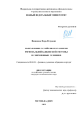 Вишняков, Игорь Петрович. Направления устойчивого развития региональной банковской системы в современных условиях: дис. кандидат наук: 08.00.10 - Финансы, денежное обращение и кредит. Ростов-на-Дону. 2019. 190 с.