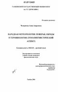 Чемерчева, Анна Андреевна. Народная метеорология: поверья, обряды и терминология: этнолингвистический аспект: дис. кандидат филологических наук: 10.02.01 - Русский язык. Тамбов. 2006. 206 с.