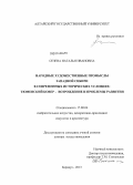 Сезева, Наталья Ивановна. Народные художественные промыслы Западной Сибири в современных исторических условиях: тюменский ковер - возрождение и проблемы развития: дис. кандидат наук: 17.00.04 - Изобразительное и декоративно-прикладное искусство и архитектура. Барнаул. 2013. 358 с.