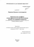 Неровная, Надежда Александровна. Национальная специфика лексико-фразеологической объективации близких по содержанию концептов: на материале концептов толерантность, терпимость в русском и английском языковом сознании: дис. кандидат филологических наук: 10.02.19 - Теория языка. Воронеж. 2009. 251 с.