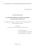 Угурчиева Хяди Юсуповна. Научное обоснование механизмов управления младенческой смертностью: дис. кандидат наук: 00.00.00 - Другие cпециальности. ФГБОУ ВО «Санкт-Петербургский государственный университет». 2023. 310 с.