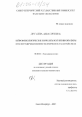 Другалева, Анна Сергеевна. Нейрофизиологические корреляты когнитивной сферы при пограничных нервно-психических расстройствах: дис. кандидат психологических наук: 19.00.02 - Психофизиология. Санкт-Петербург. 2005. 162 с.