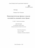 Новиков, Олег Олегович. Низкоэнергетическая физика в моделях вселенной на доменной стенке (бране): дис. кандидат наук: 01.04.02 - Теоретическая физика. Санкт-Петербург. 2014. 103 с.