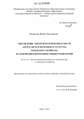 Шишкина, Ирина Викторовна. Обеспечение экологической безопасности автотранспортной инфраструктуры городского хозяйства на основе биосферосовместимых технологий: дис. кандидат технических наук: 05.23.19 - Экологическая безопасность строительства и городского хозяйства. Орел. 2012. 212 с.