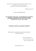 Садыков Андрей Фаридович. Обеспечение социально-экономического развития региона с учетом фактора рационализации транспортной инфраструктуры (на примере Ханты-Мансийского автономного округа - Югры): дис. кандидат наук: 08.00.05 - Экономика и управление народным хозяйством: теория управления экономическими системами; макроэкономика; экономика, организация и управление предприятиями, отраслями, комплексами; управление инновациями; региональная экономика; логистика; экономика труда. ФГБУН Институт проблем региональной экономики Российской академии наук. 2016. 156 с.