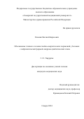 Ельшин Евгений Борисович. "Обоснование этапного лечения гнойно-некротических поражений у больных с нейропатической формой синдрома диабетической стопы": дис. кандидат наук: 00.00.00 - Другие cпециальности. ФГБОУ ВО «Самарский государственный медицинский университет» Министерства здравоохранения Российской Федерации. 2024. 190 с.