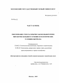 Чан Туан Минь. Обоснование схем раскрытия забоя и выбор крепи выработок большого сечения в геологических условиях Вьетнама: дис. кандидат наук: 25.00.22 - Геотехнология(подземная, открытая и строительная). Москва. 2013. 178 с.