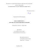 Свиркович Олеся Владимировна. Образ университета в поликультурном языковом сознании: дис. кандидат наук: 10.02.19 - Теория языка. ФГБОУ ВО «Челябинский государственный университет». 2021. 254 с.