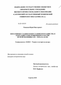 Ромашов, Юрий Викторович. Образ южных славян и идея славянского единства в панславистских концепциях в России второй половины XIX - начала XX вв.: дис. кандидат наук: 24.00.01 - Теория и история культуры. Саратов. 2013. 150 с.