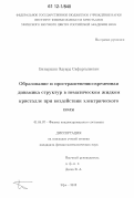 Батыршин, Эдуард Сафаргалиевич. Образование и пространственно-временная динамика структур в нематическом жидком кристалле при воздействии электрического поля: дис. кандидат физико-математических наук: 01.04.07 - Физика конденсированного состояния. Уфа. 2012. 121 с.