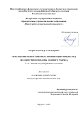 Тютрин Александр Александрович. Образование наноразмерных люминесцирующих сред под действием плазмы газового разряда: дис. кандидат наук: 00.00.00 - Другие cпециальности. ФГБОУ ВО «Иркутский государственный университет». 2023. 140 с.