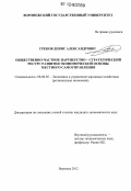 Греков, Денис Александрович. Общественно-частное партнерство - стратегический ресурс развития экономической основы местного самоуправления: дис. кандидат экономических наук: 08.00.05 - Экономика и управление народным хозяйством: теория управления экономическими системами; макроэкономика; экономика, организация и управление предприятиями, отраслями, комплексами; управление инновациями; региональная экономика; логистика; экономика труда. Воронеж. 2012. 170 с.