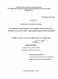 Померанцев, Александр Сергеевич. Обучение руководящих работников безопасности и охране труда в системе дополнительного образования: дис. кандидат педагогических наук: 13.00.08 - Теория и методика профессионального образования. Нижний Новгород. 2009. 186 с.