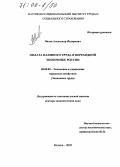 Ивлев, Александр Федорович. Оплата наемного труда в переходной экономике России: дис. доктор экономических наук: 08.00.05 - Экономика и управление народным хозяйством: теория управления экономическими системами; макроэкономика; экономика, организация и управление предприятиями, отраслями, комплексами; управление инновациями; региональная экономика; логистика; экономика труда. Москва. 2005. 371 с.