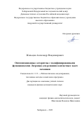 Жильцов Александр Владимирович. Оптимизационные алгоритмы с модифицированными функционалами Лагранжа для решения контактных задач механики: дис. кандидат наук: 00.00.00 - Другие cпециальности. ФГБУН Хабаровский Федеральный исследовательский центр Дальневосточного отделения Российской академии наук. 2024. 141 с.