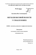 Кулешова, Яна Александровна. Опухоли носовой полости у собак и кошек: дис. кандидат ветеринарных наук: 16.00.02 - Патология, онкология и морфология животных. Москва. 2007. 140 с.