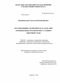 Назайкинский, Святослав Владимирович. Организационно-экономическая адаптация промышленных предприятий к условиям рыночной среды: дис. кандидат наук: 08.00.05 - Экономика и управление народным хозяйством: теория управления экономическими системами; макроэкономика; экономика, организация и управление предприятиями, отраслями, комплексами; управление инновациями; региональная экономика; логистика; экономика труда. Москва. 2013. 180 с.