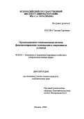 Косова, Татьяна Сергеевна. Организационно-экономическая система функционирования телевидения в современных условиях: дис. кандидат экономических наук: 08.00.05 - Экономика и управление народным хозяйством: теория управления экономическими системами; макроэкономика; экономика, организация и управление предприятиями, отраслями, комплексами; управление инновациями; региональная экономика; логистика; экономика труда. Москва. 1999. 107 с.