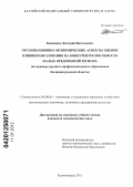 Кашпаров, Дмитрий Витальевич. Организационно-экономические аспекты оценки влияния образования на конкурентоспособность малых предприятий региона: на примере среднего профессионального образования Калининградской области: дис. кандидат экономических наук: 08.00.05 - Экономика и управление народным хозяйством: теория управления экономическими системами; макроэкономика; экономика, организация и управление предприятиями, отраслями, комплексами; управление инновациями; региональная экономика; логистика; экономика труда. Калининград. 2011. 188 с.